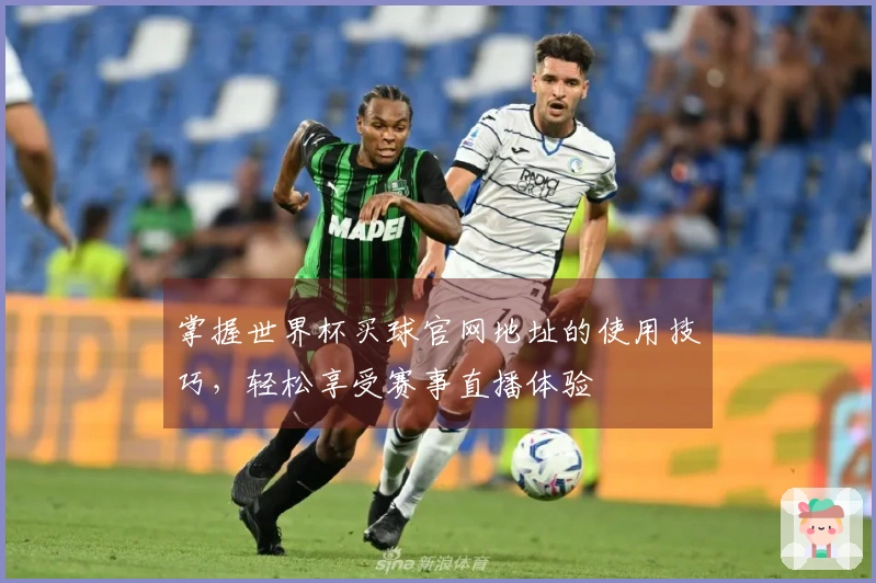 掌握世界杯买球官网地址的使用技巧，轻松享受赛事直播体验
