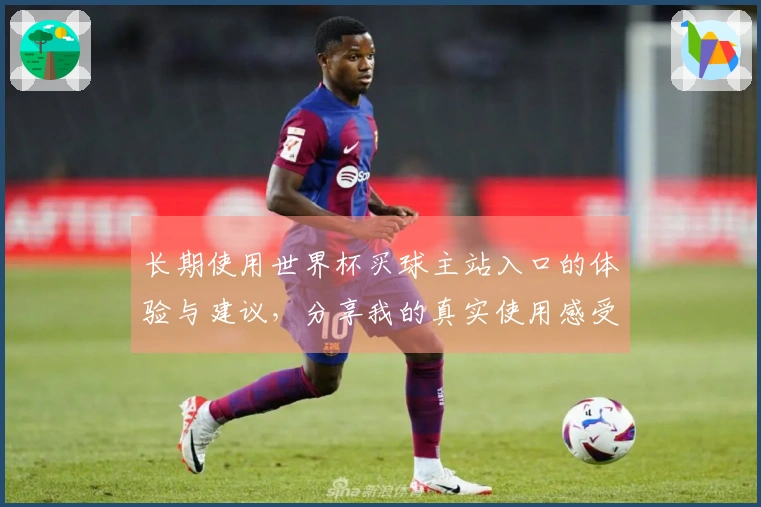 长期使用世界杯买球主站入口的体验与建议，分享我的真实使用感受