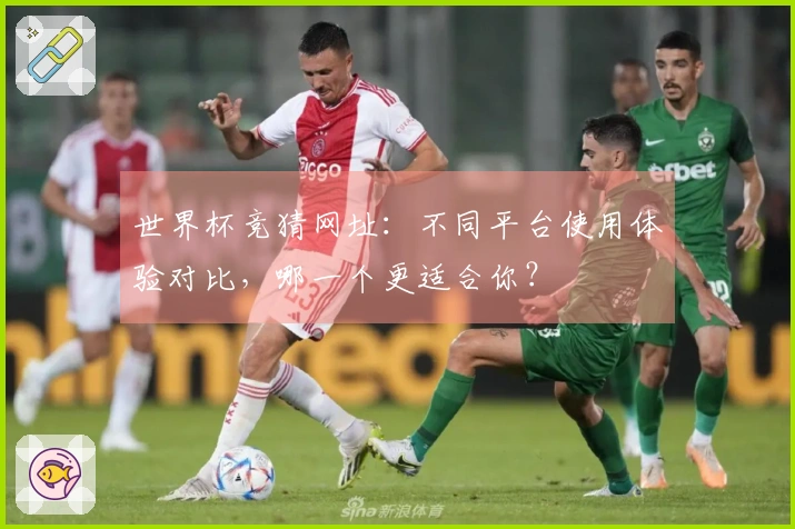 世界杯竞猜网址：不同平台使用体验对比，哪一个更适合你？