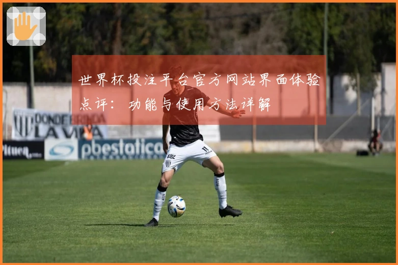 世界杯投注平台官方网站界面体验点评：功能与使用方法详解