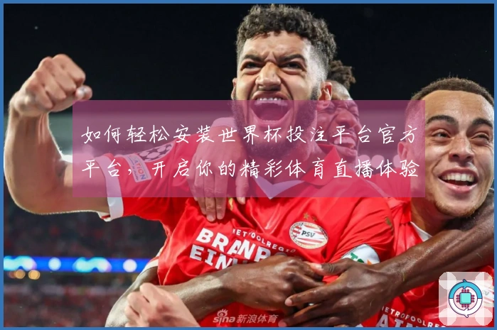 如何轻松安装世界杯投注平台官方平台，开启你的精彩体育直播体验