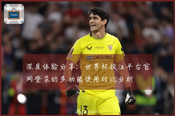 深度体验分享：世界杯投注平台官网登录的多功能使用对比分析