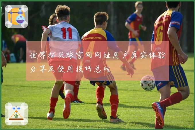 世界杯买球官网网址用户真实体验分享及使用技巧总结