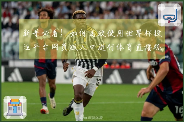 新手必看！如何高效使用世界杯投注平台网页版入口进行体育直播观看指南