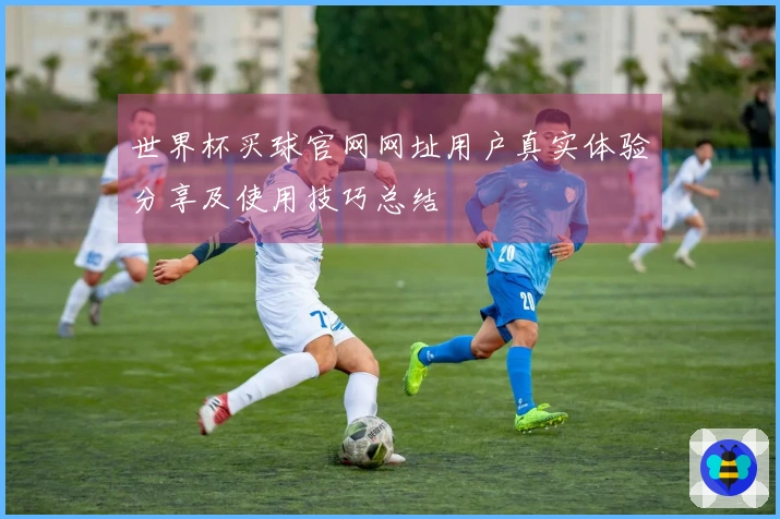 世界杯买球官网网址用户真实体验分享及使用技巧总结